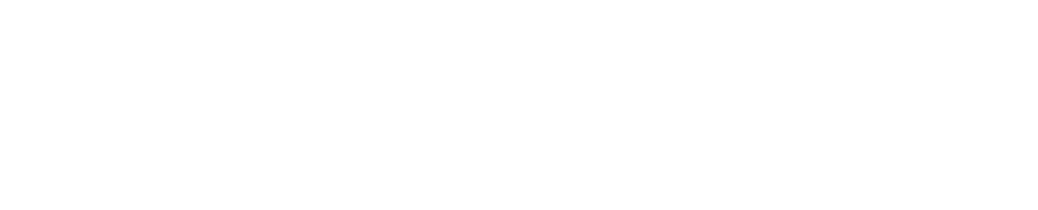 logo_2